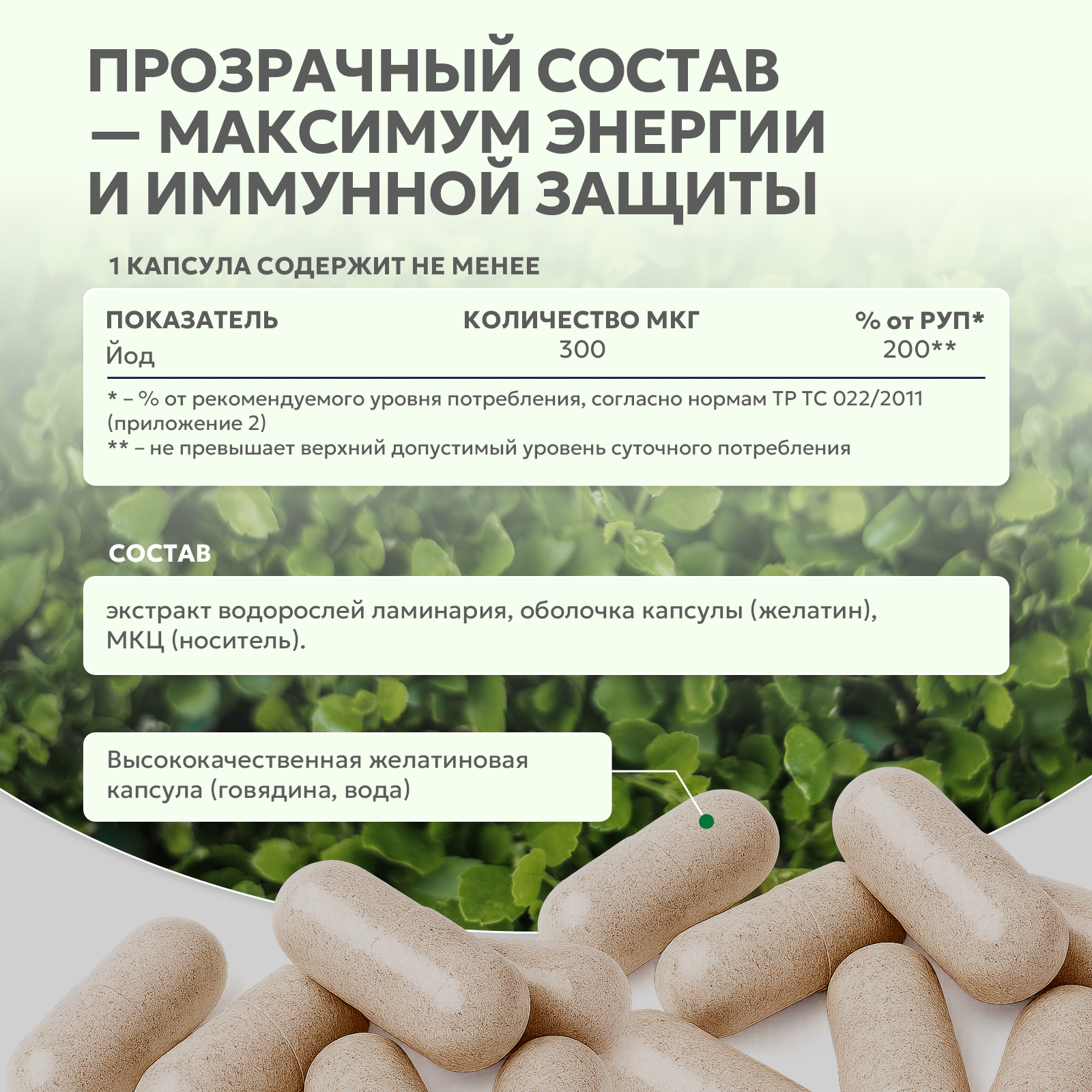 Ламинария / КЕЛП / 60 капсул
