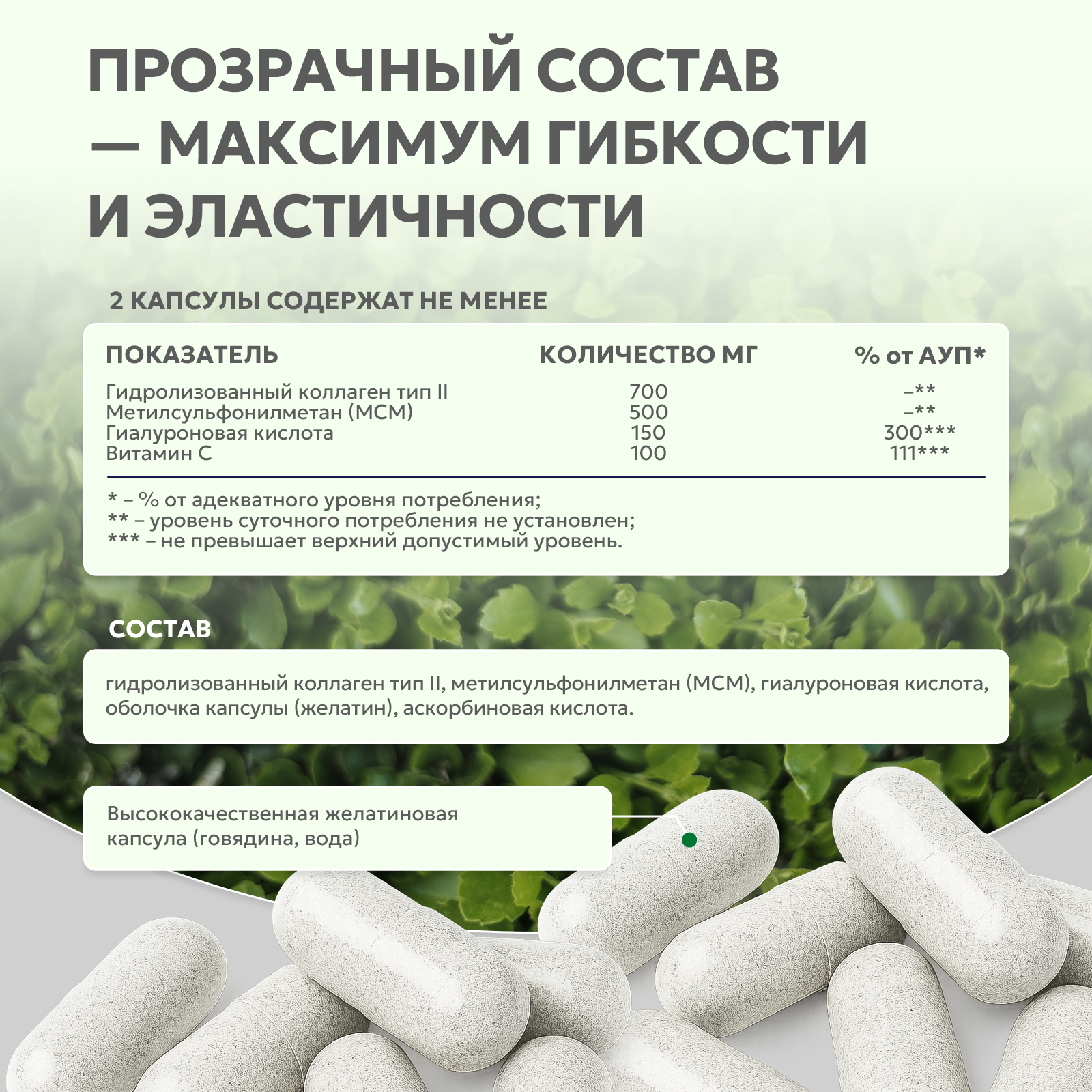 Гиалуроновая кислота 60 капс.