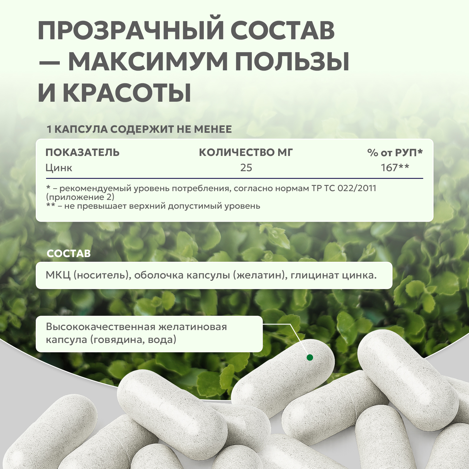 БАД к пище Цинк хелат 60 капс.