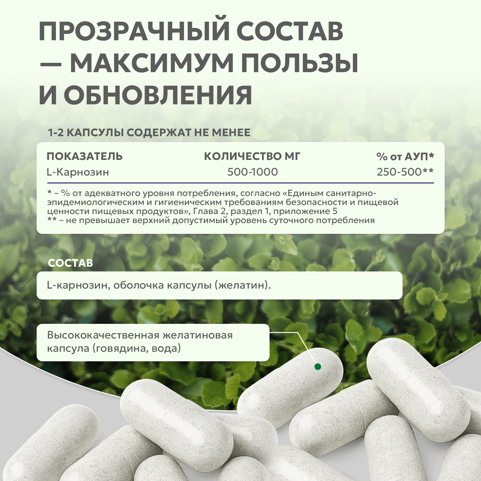 БАД к пище L - Карнозин 60 капс.