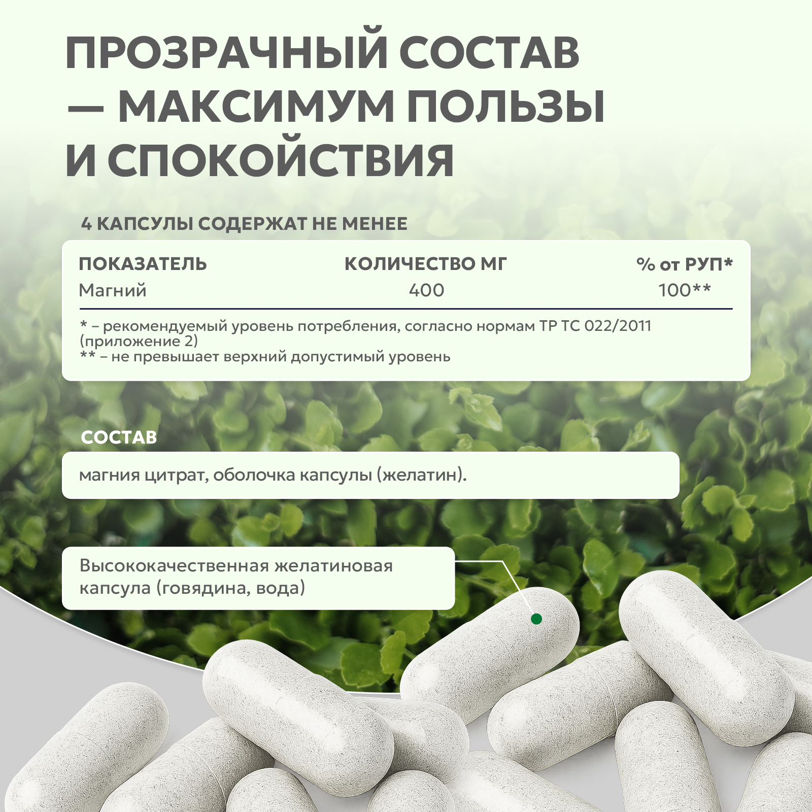 БАД к пище Магний цитрат 60 капс.