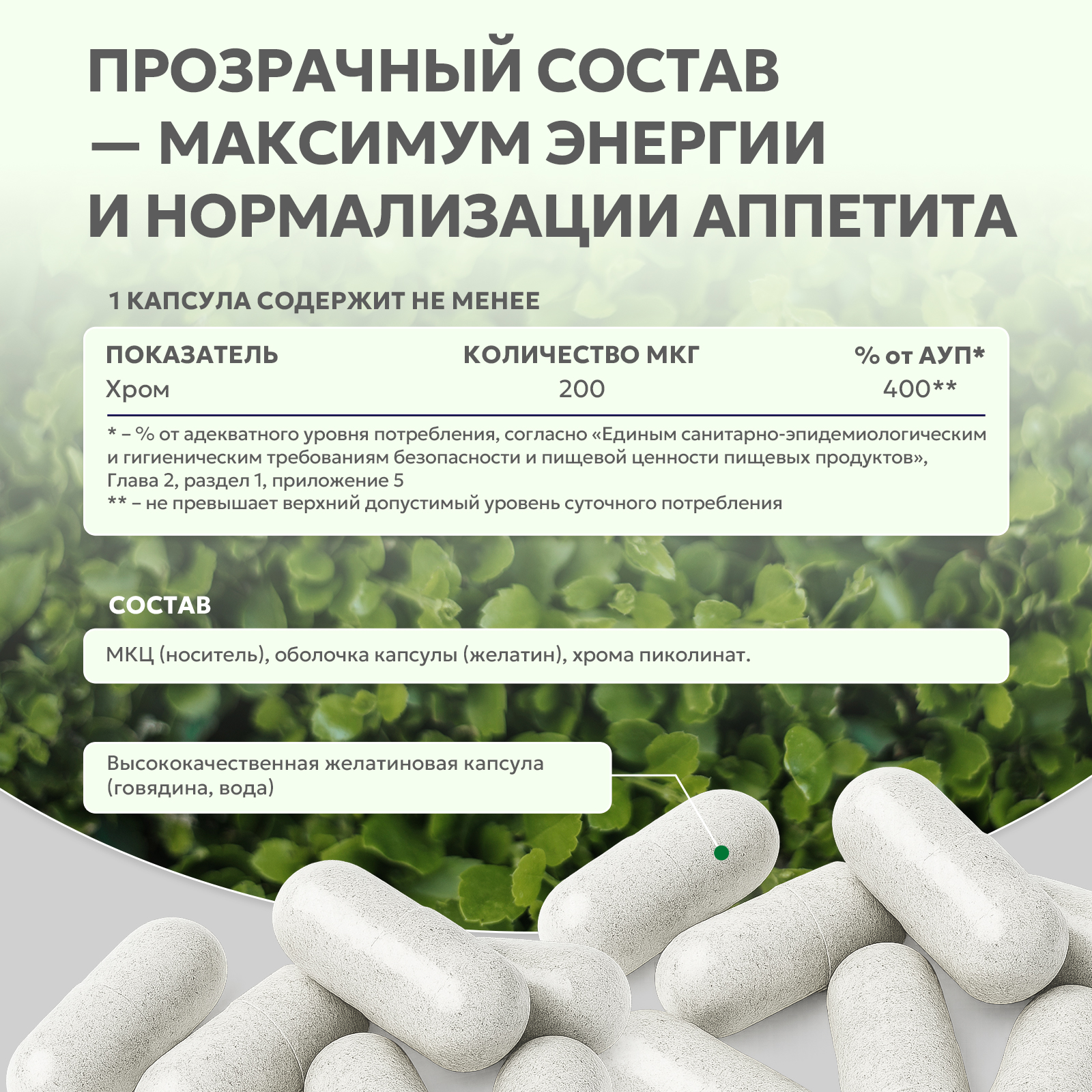 БАД к пище Хром пиколинат 60 капс.