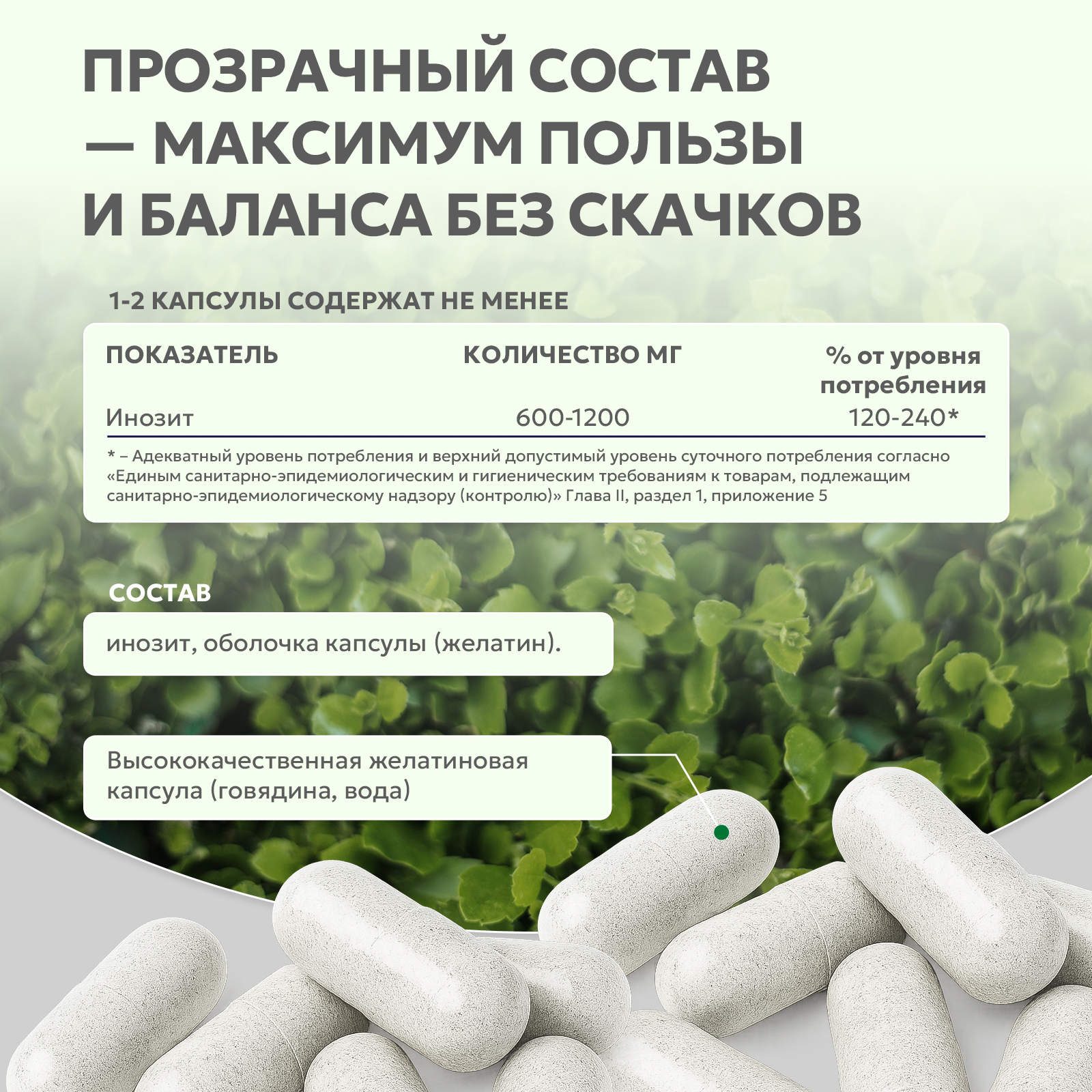 БАД к пище Инозитол (Витамин Б8) 60 капс.