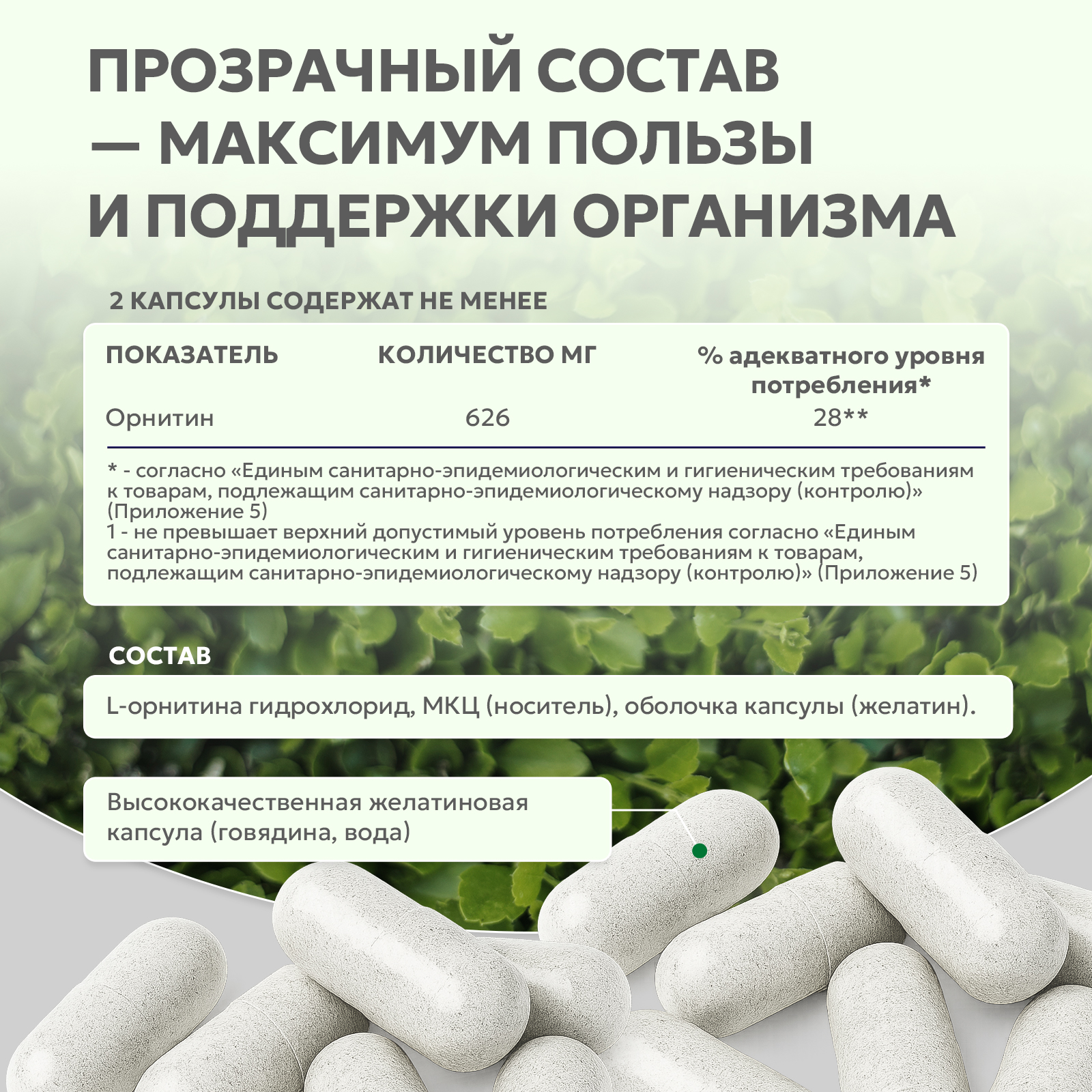 БАД к пище L - Орнитин 60 капс.
