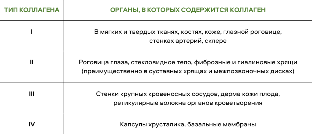 Типы коллагена Типы коллагена